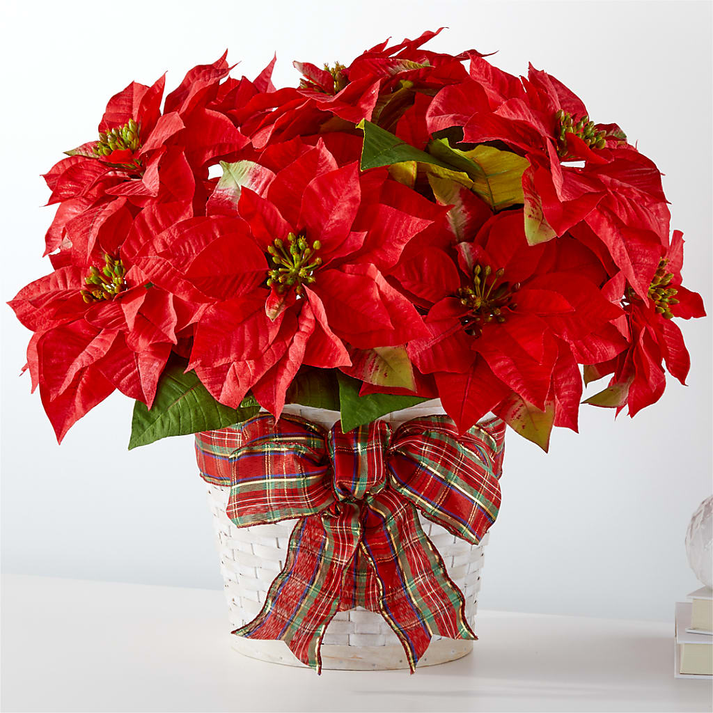 Happiest Holidays Poinsettia – Flower Perez Llc, Allentown PA