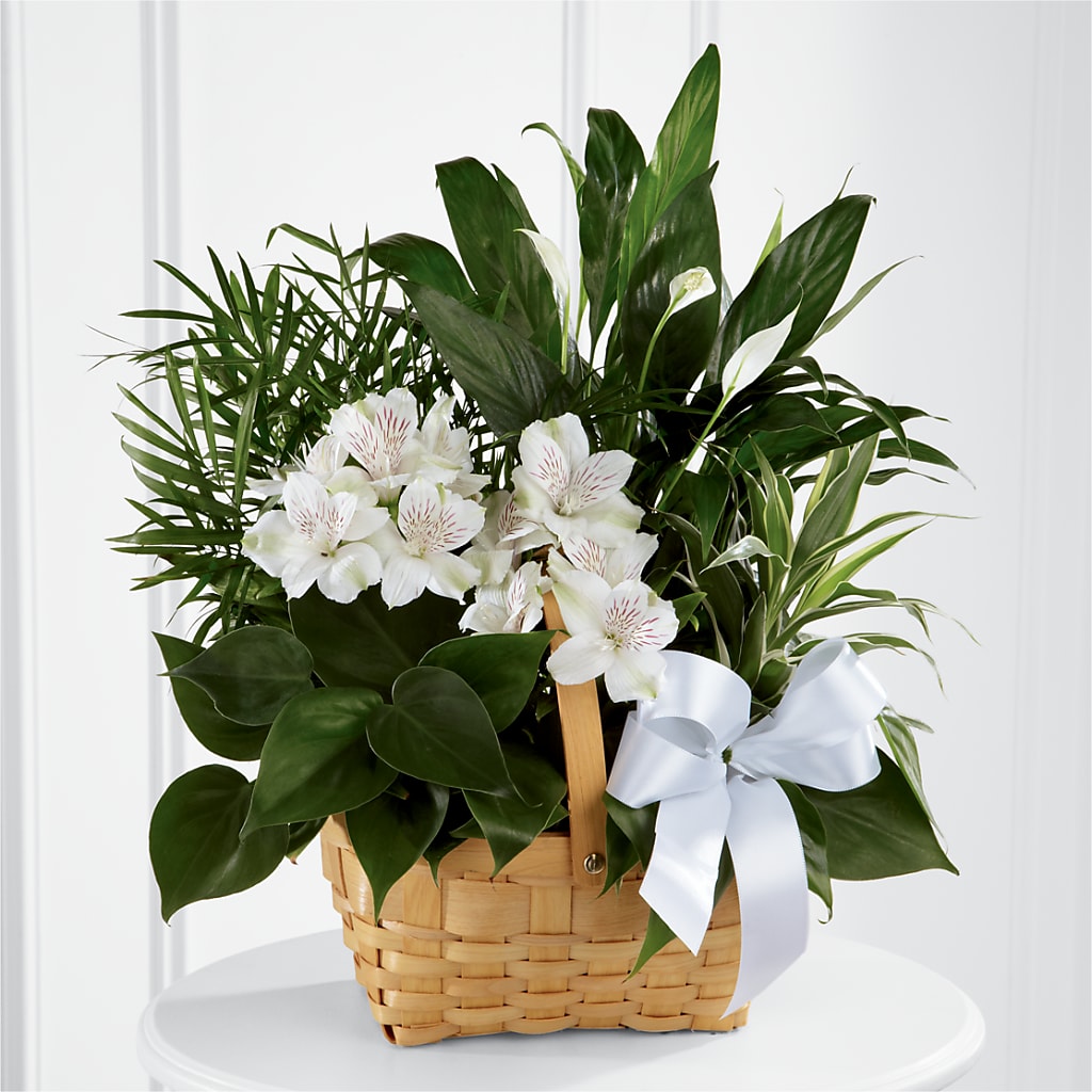 Peace & Serenity Dishgarden – Flower Perez Llc, Allentown PA