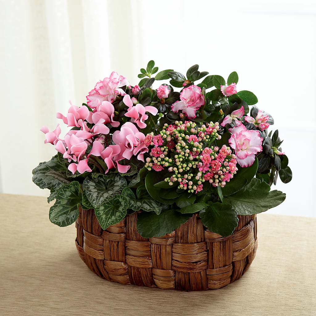 Pink Assortment – Flower Perez Llc, Allentown PA
