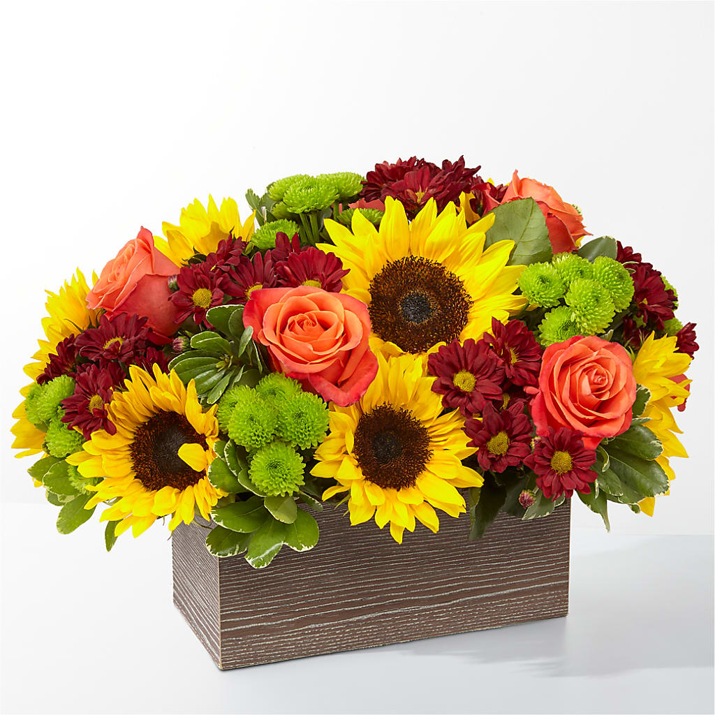 Happy Harvest Garden – Flower Perez Llc, Allentown PA