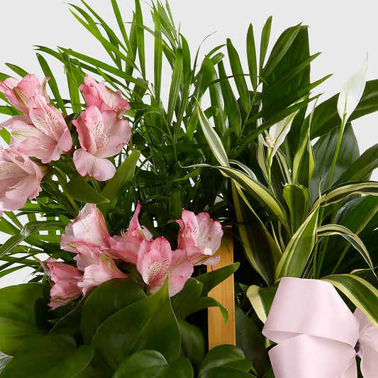 Living Spirit Dishgarden – Flower Perez Llc, Allentown PA