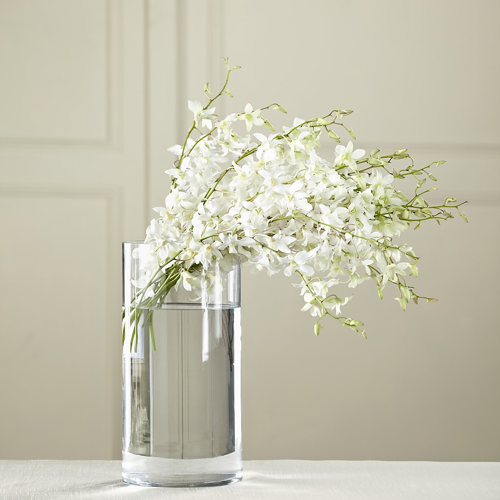 White Dendrobium Bouquet – Flower Perez Llc, Allentown PA