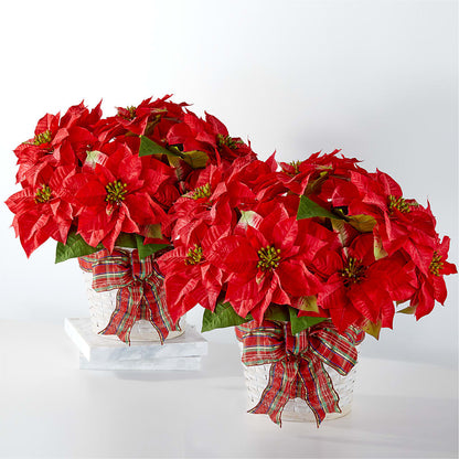 Happiest Holidays Poinsettia Bundle –  Flower Perez Llc, Allentown PA
