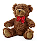 Adorable Plush Bear –  Flower Perez Llc, Allentown PA