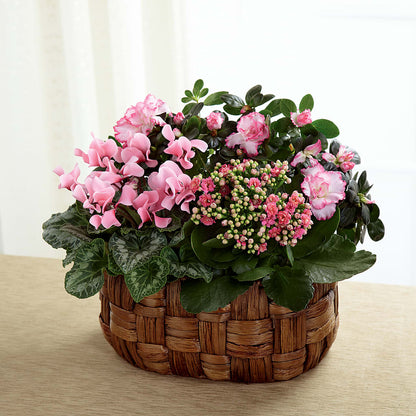 Pink Assortment –  Flower Perez Llc, Allentown PA