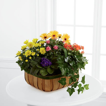 Gentle Blossoms Basket –  Flower Perez Llc, Allentown PA