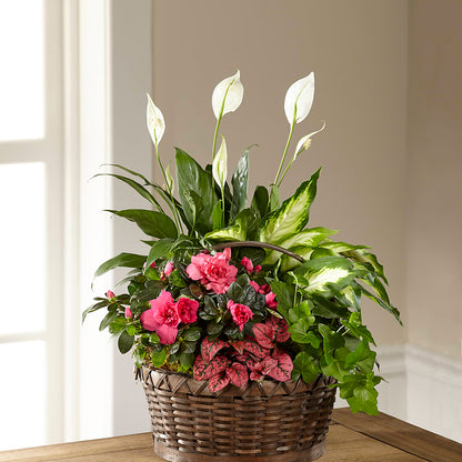 Dream in Pink Dishgarden –  Flower Perez Llc, Allentown PA
