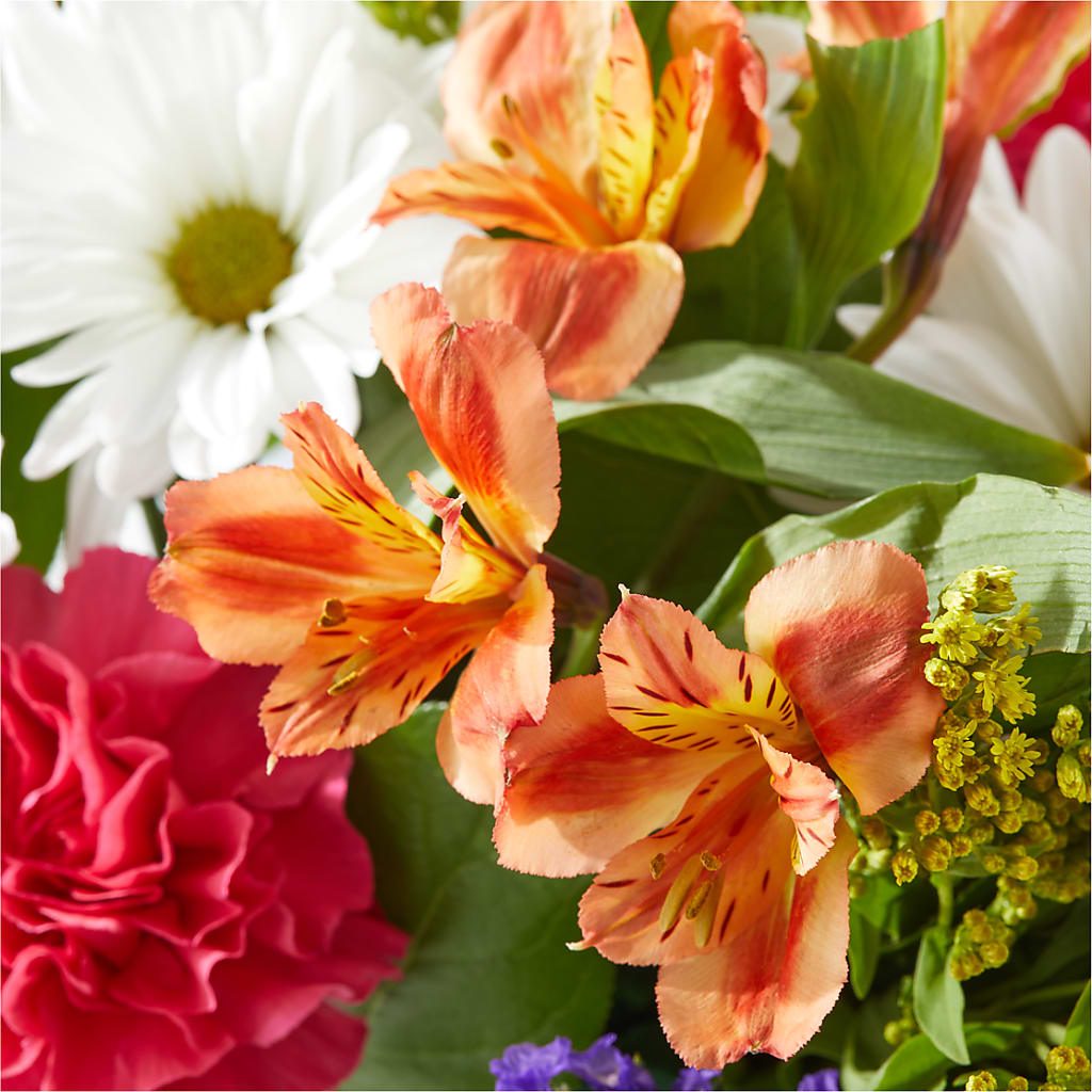 Oopsie Daisy Box Bouquet –  Flower Perez Llc, Allentown PA