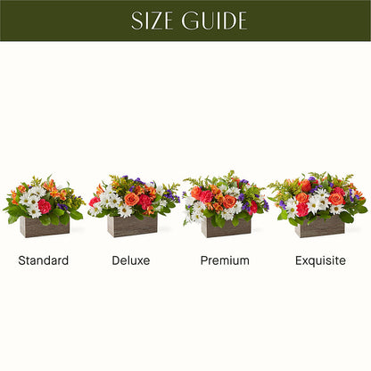 Oopsie Daisy Box Bouquet –  Flower Perez Llc, Allentown PA