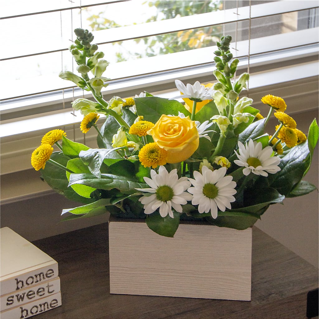 Sun Salutation Box Bouquet –  Flower Perez Llc, Allentown PA