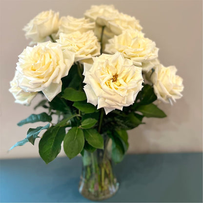 Long Stem Yellow Rose Bouquet –  Flower Perez Llc, Allentown PA