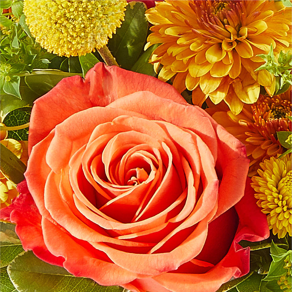 Gourdgeous Pumpkin –  Flower Perez Llc, Allentown PA
