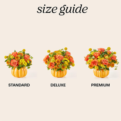 Gourdgeous Pumpkin –  Flower Perez Llc, Allentown PA