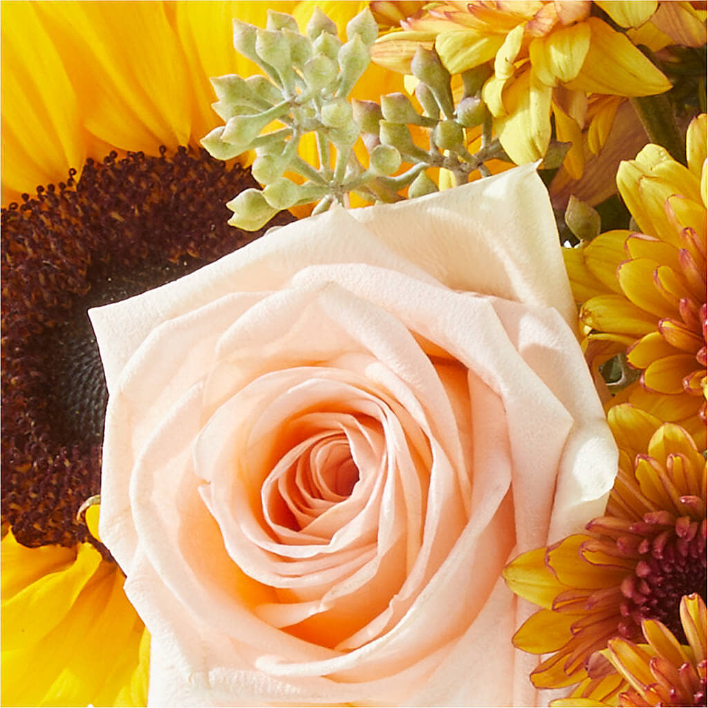 Pumpkin to Talk About Bouquet –  Flower Perez Llc, Allentown PA