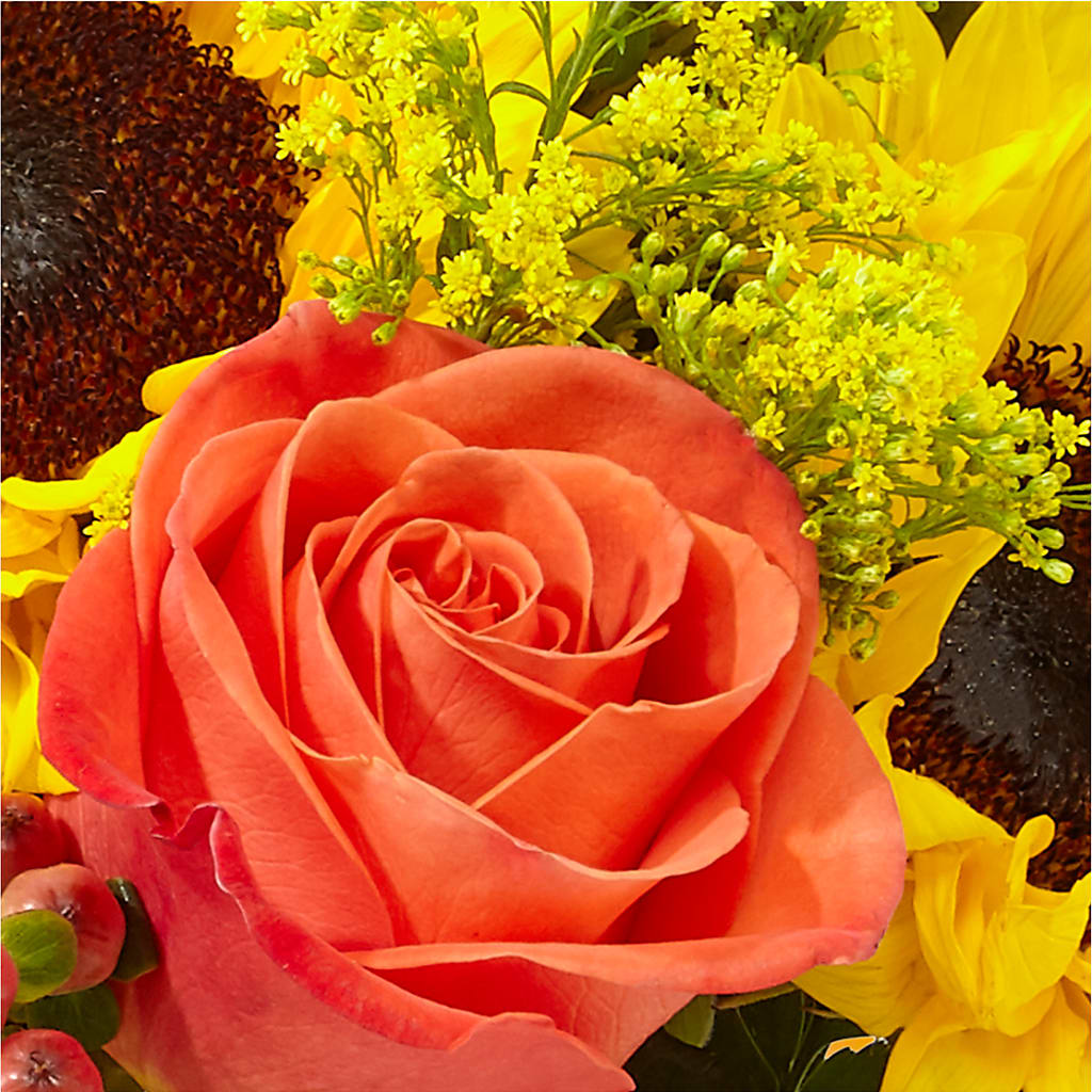 Pick of the Patch Pumpkin Bouquet –  Flower Perez Llc, Allentown PA