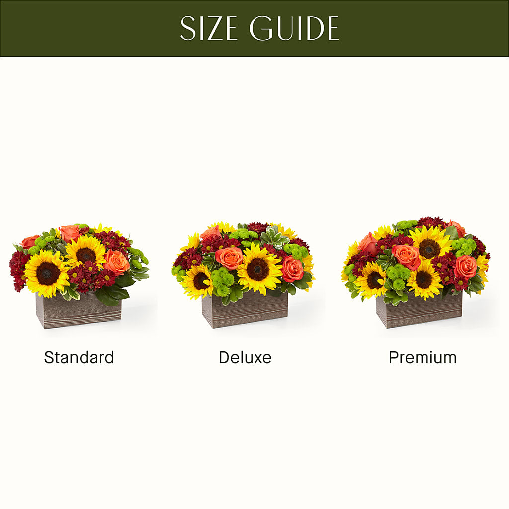 Happy Harvest Garden –  Flower Perez Llc, Allentown PA