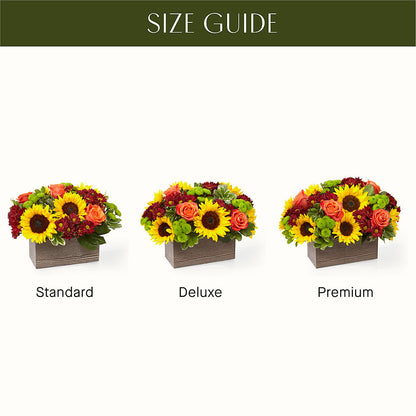 Happy Harvest Garden –  Flower Perez Llc, Allentown PA