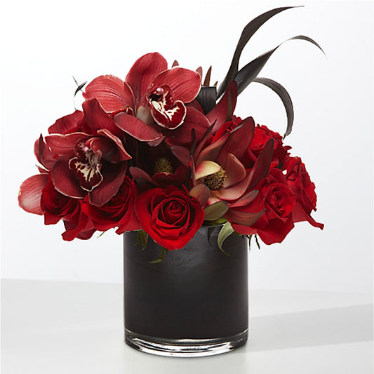 The Eclipse –  Flower Perez Llc, Allentown PA