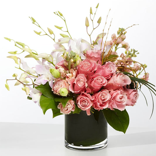 The Muse –  Flower Perez Llc, Allentown PA