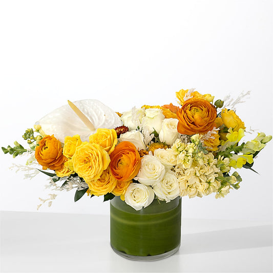 The Optimist –  Flower Perez Llc, Allentown PA
