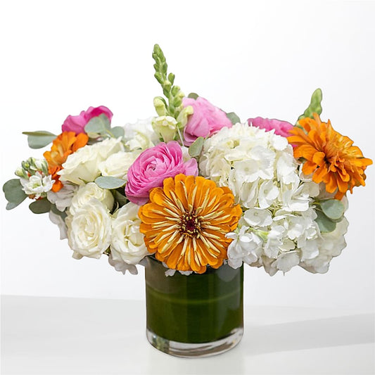 The Meet Cute –  Flower Perez Llc, Allentown PA