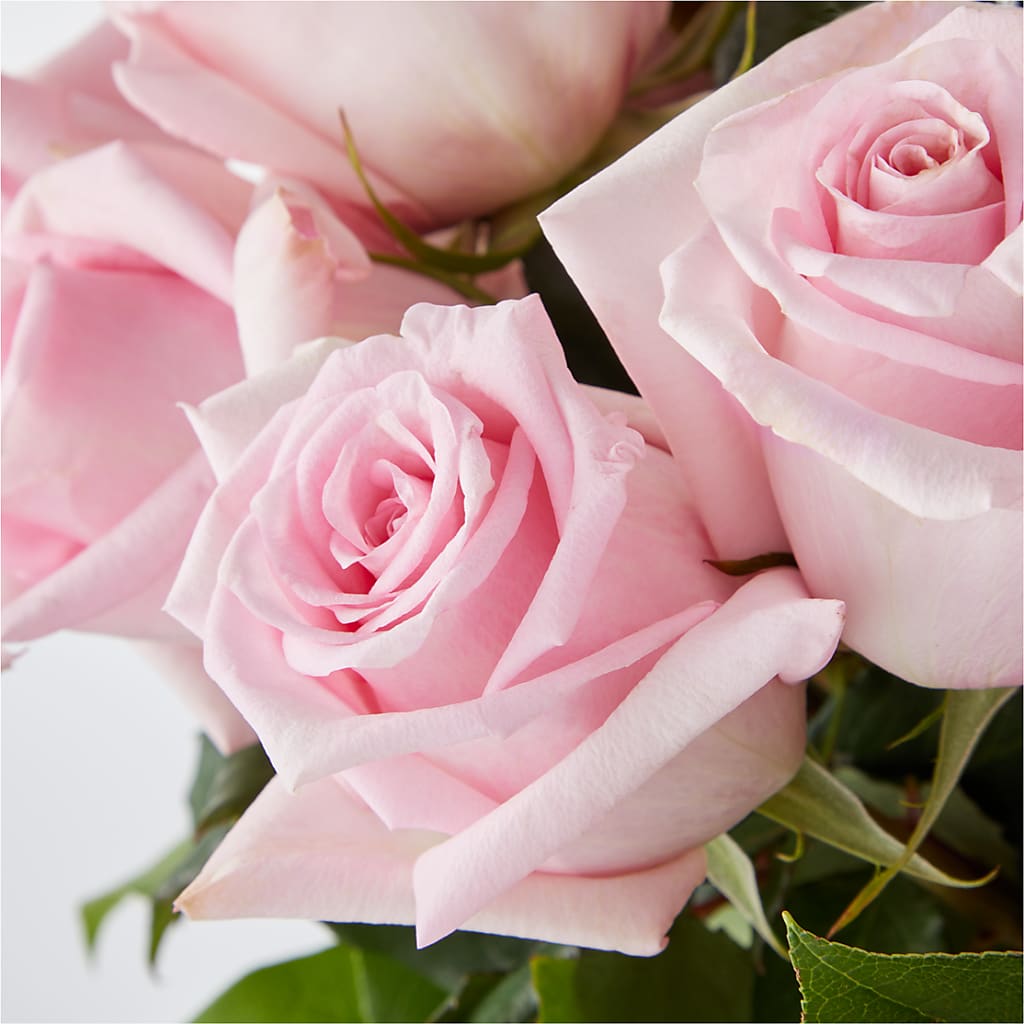 Picture Perfect Pink Rose Bouquet –  Flower Perez Llc, Allentown PA