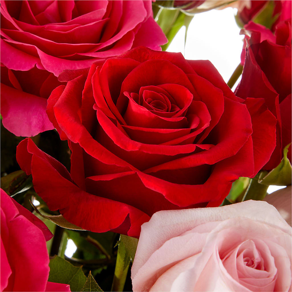 Love Notes Rose Bouquet –  Flower Perez Llc, Allentown PA