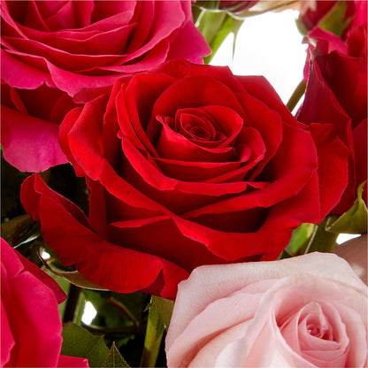 Love Notes Rose Bouquet –  Flower Perez Llc, Allentown PA