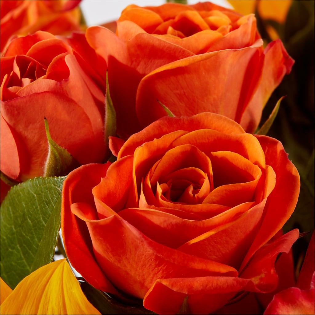 Picnic in the Park Bouquet –  Flower Perez Llc, Allentown PA