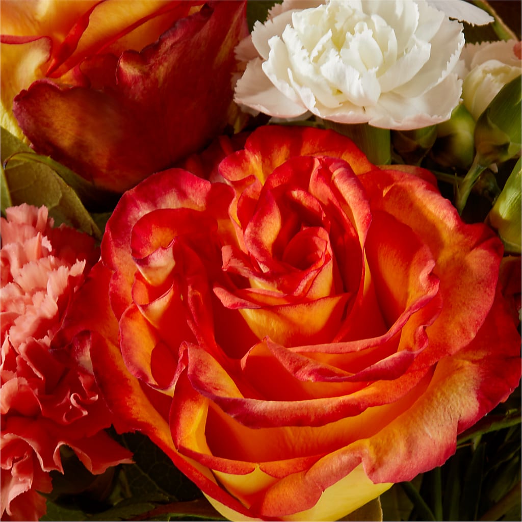 Apricot Glow Bouquet –  Flower Perez Llc, Allentown PA