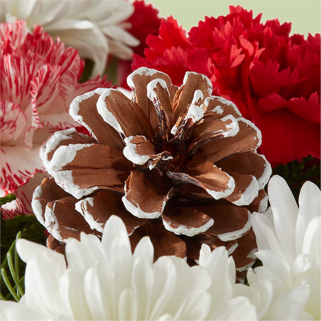 Candy Cane Lane Bouquet –  Flower Perez Llc, Allentown PA
