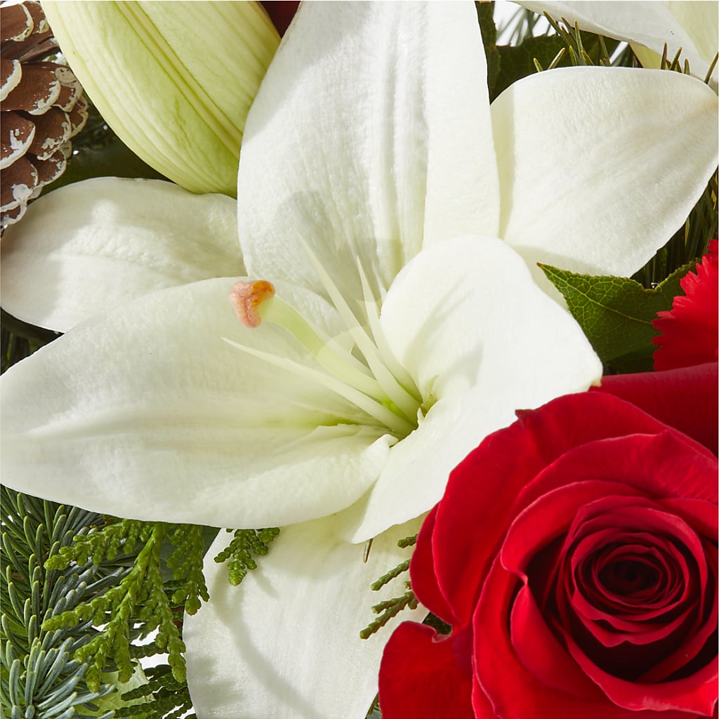 Oh So Jolly Bouquet –  Flower Perez Llc, Allentown PA