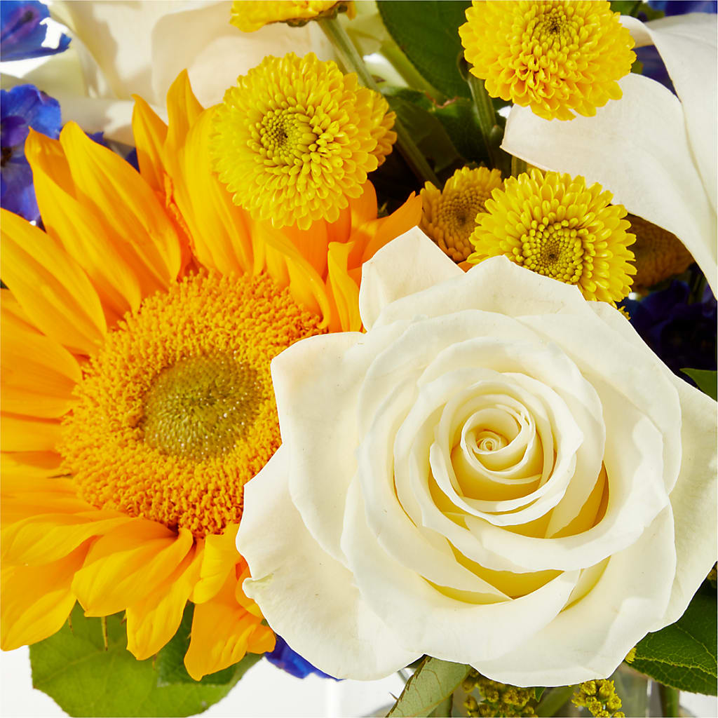 Stargazing Bouquet –  Flower Perez Llc, Allentown PA