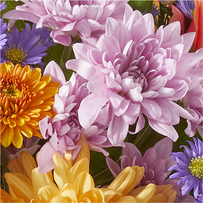 Countryside Bouquet –  Flower Perez Llc, Allentown PA