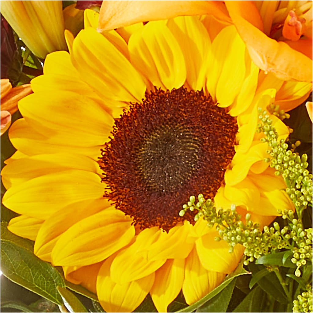 Seasons Change Bouquet –  Flower Perez Llc, Allentown PA
