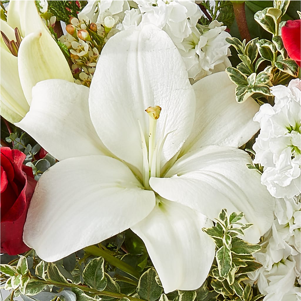 Twinkle Lights Bouquet –  Flower Perez Llc, Allentown PA