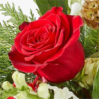 Deck the Halls Bouquet –  Flower Perez Llc, Allentown PA