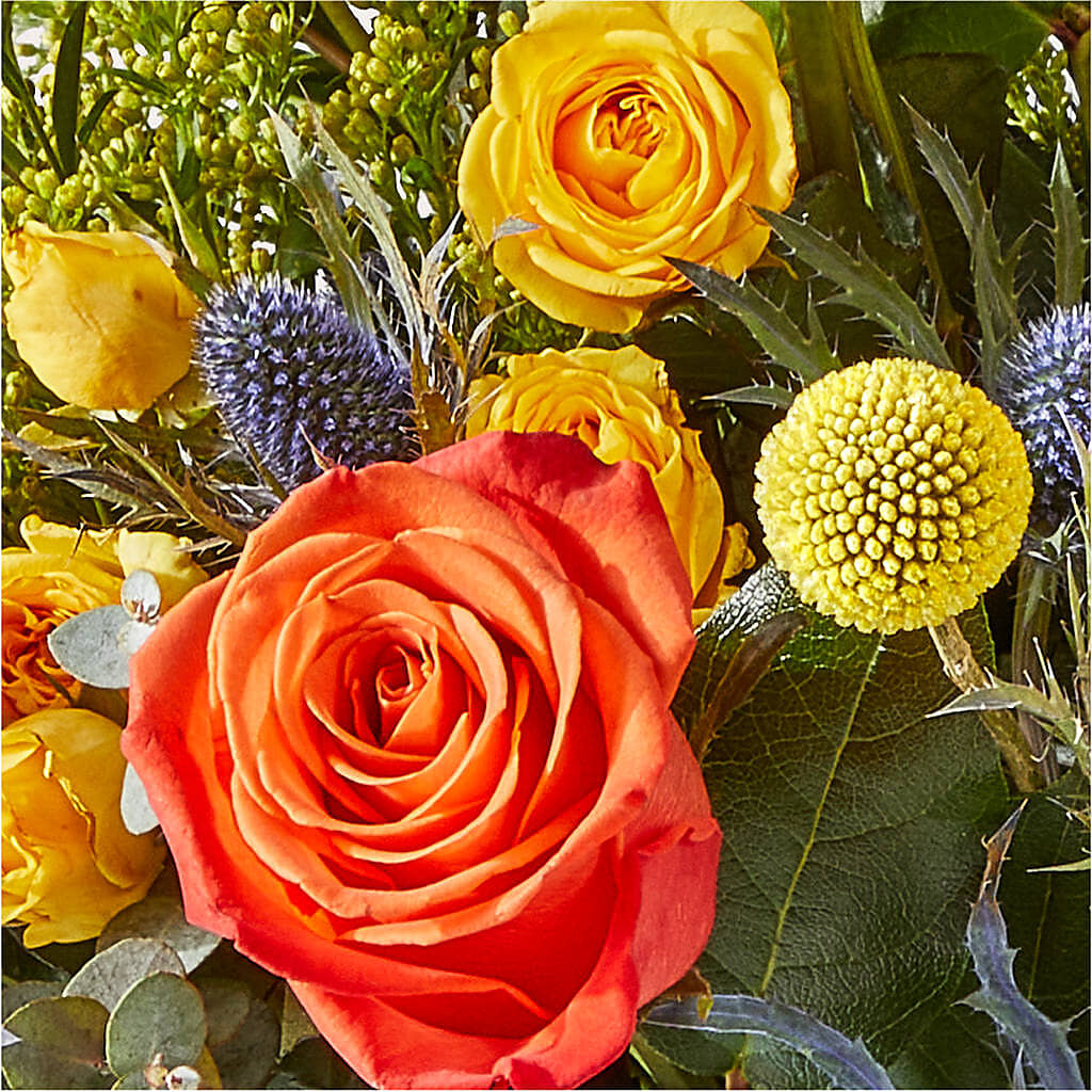 Disco Bouquet –  Flower Perez Llc, Allentown PA