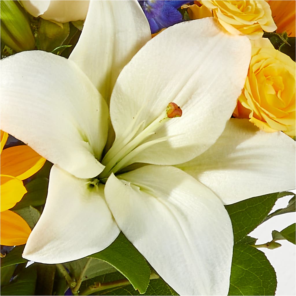 Wonderfully Sunny Bouquet –  Flower Perez Llc, Allentown PA