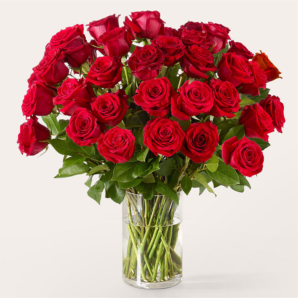 The One Red Rose Bouquet –  Flower Perez Llc, Allentown PA