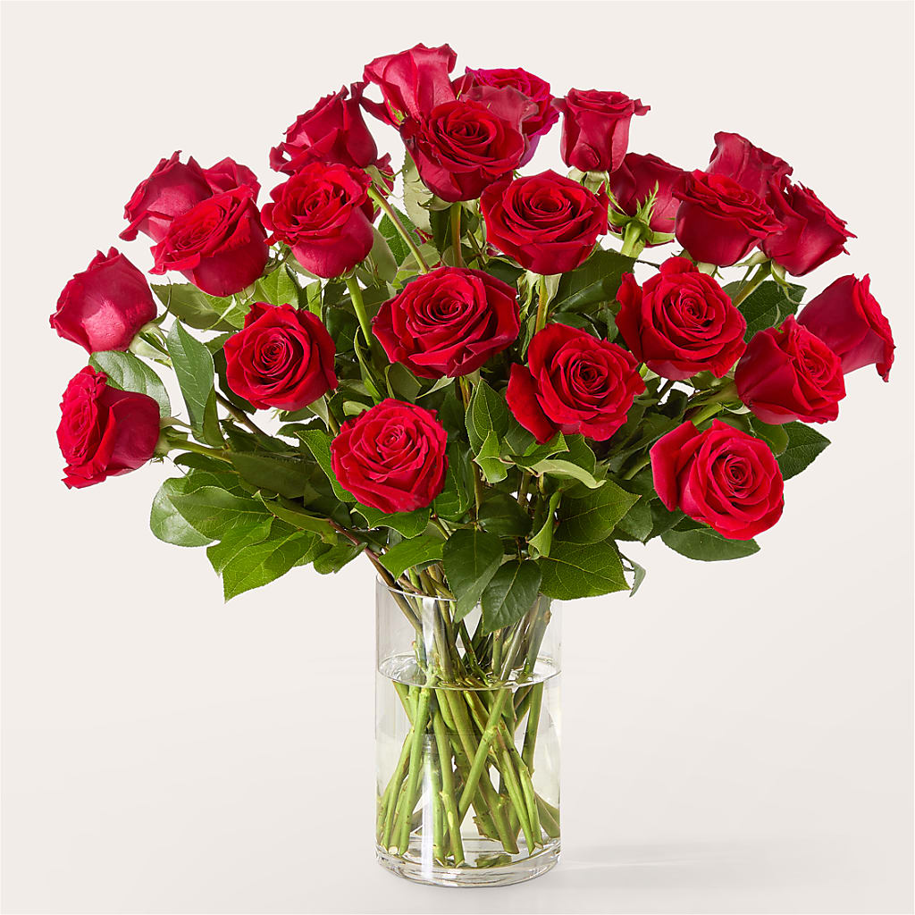 The One Red Rose Bouquet –  Flower Perez Llc, Allentown PA
