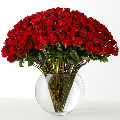 The Idealist –  Flower Perez Llc, Allentown PA