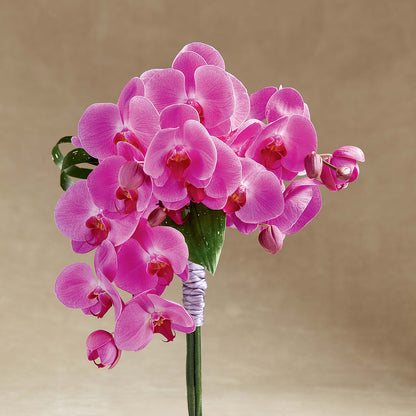 Glorious Bouquet –  Flower Perez Llc, Allentown PA