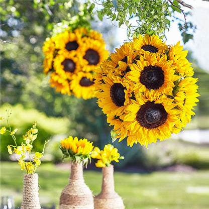 Sublime Garden Hanging Arrangement –  Flower Perez Llc, Allentown PA