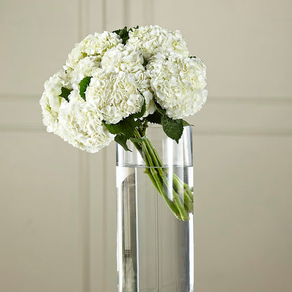 White Hydrangea Hand-Tied Bouquet –  Flower Perez Llc, Allentown PA
