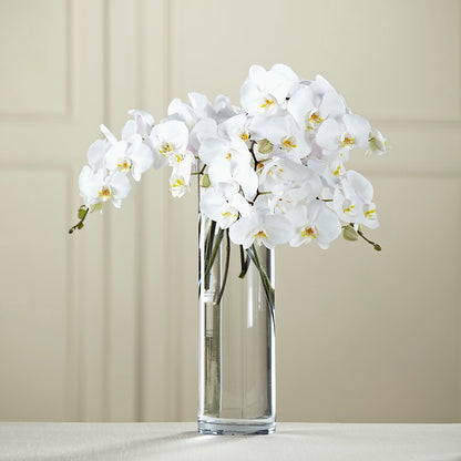 White Phalaenopsis Bouquet –  Flower Perez Llc, Allentown PA