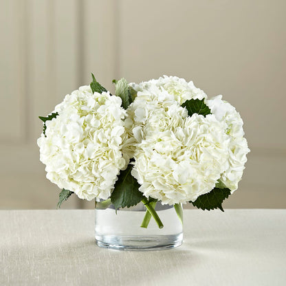 White Hydrangea Bouquet –  Flower Perez Llc, Allentown PA